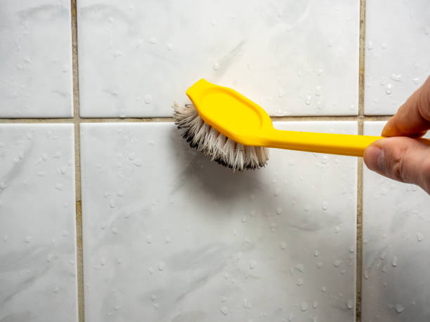 Best Mold Removal and Inspection  in Cedar Park, TX