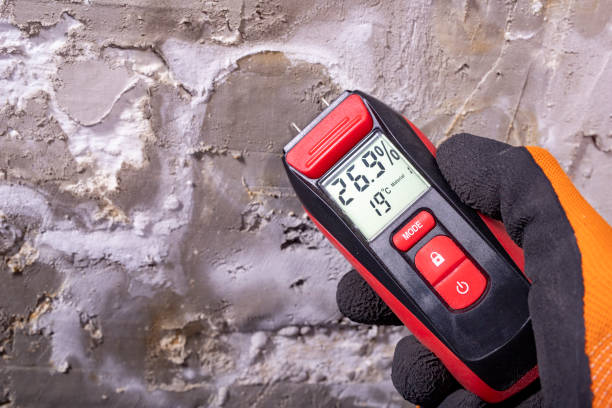 Best Same-Day Mold Removal  in Cedar Park, TX