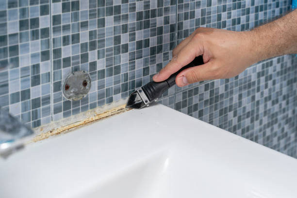 Best Office Mold Removal Services  in Cedar Park, TX