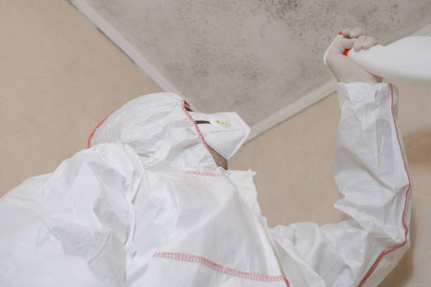 Best Fast Mold Removal  in Cedar Park, TX
